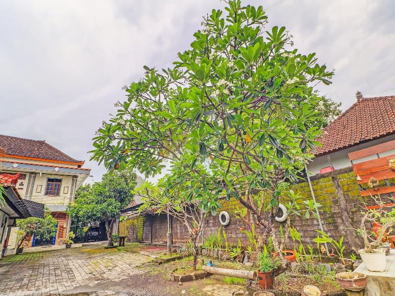 Capital O 92094 Hotel Kertha image