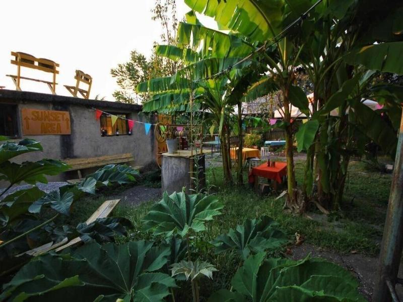 Dingo Backpackers Hostel image
