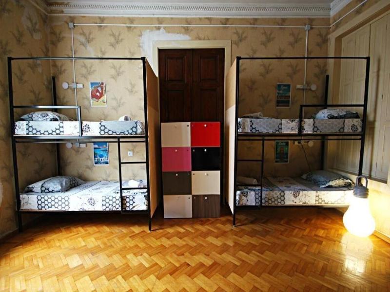 Dingo Backpackers Hostel image