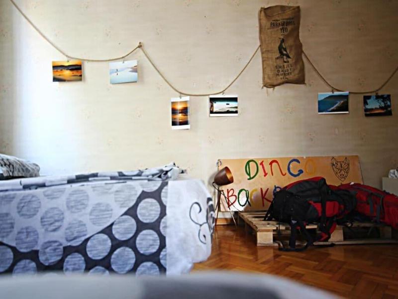 Dingo Backpackers Hostel image