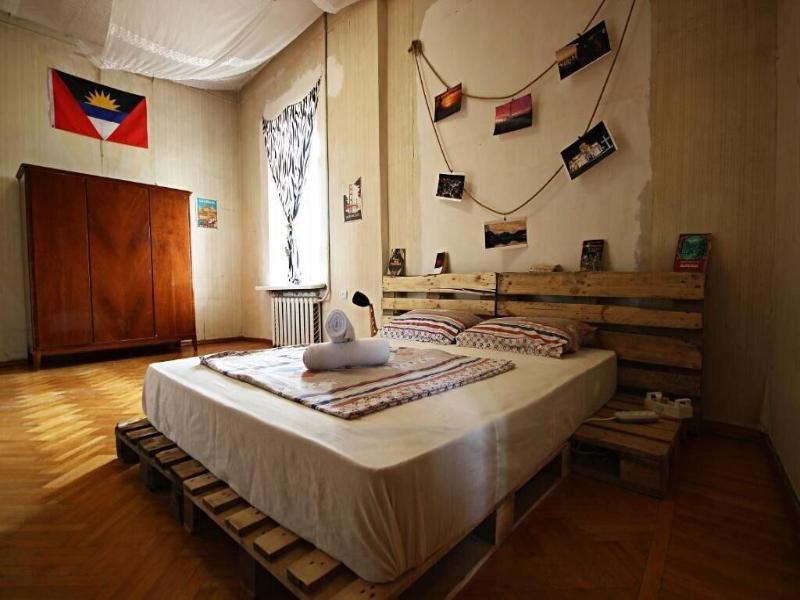 Dingo Backpackers Hostel image