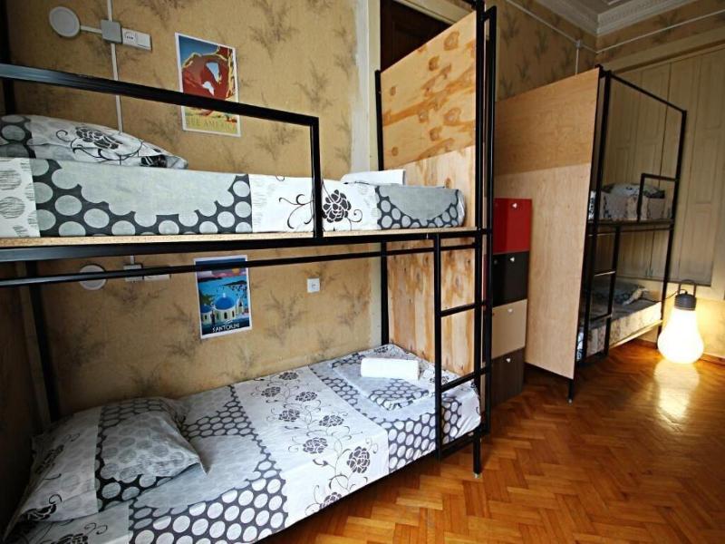 Dingo Backpackers Hostel image