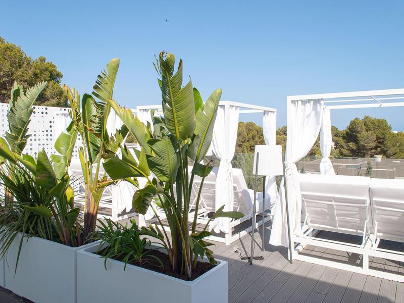 Hotel Sol I Vida - Adults Only image