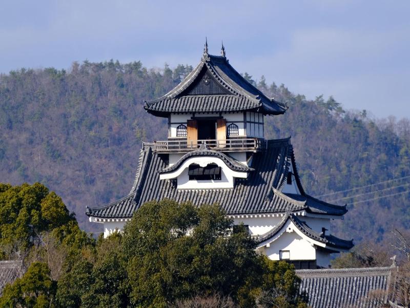 Inuyama City Hotel — general view