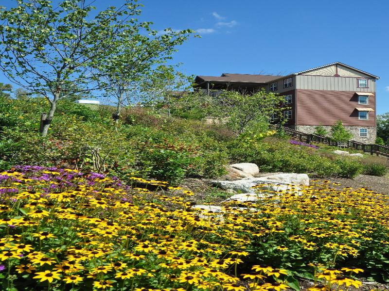 The Lodges At The Great Smoky Mountains image