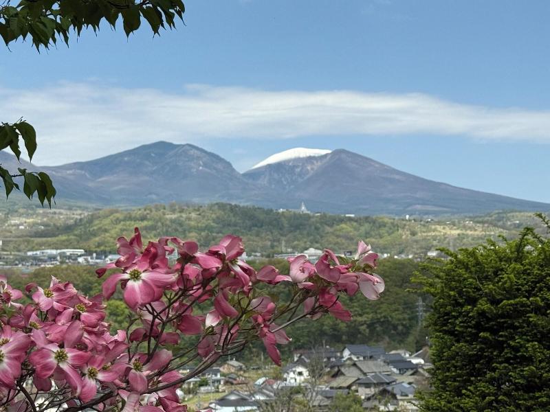 Nunobikionsen Komoro image