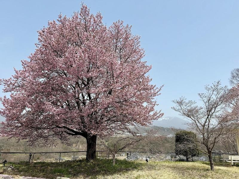 Nunobikionsen Komoro image