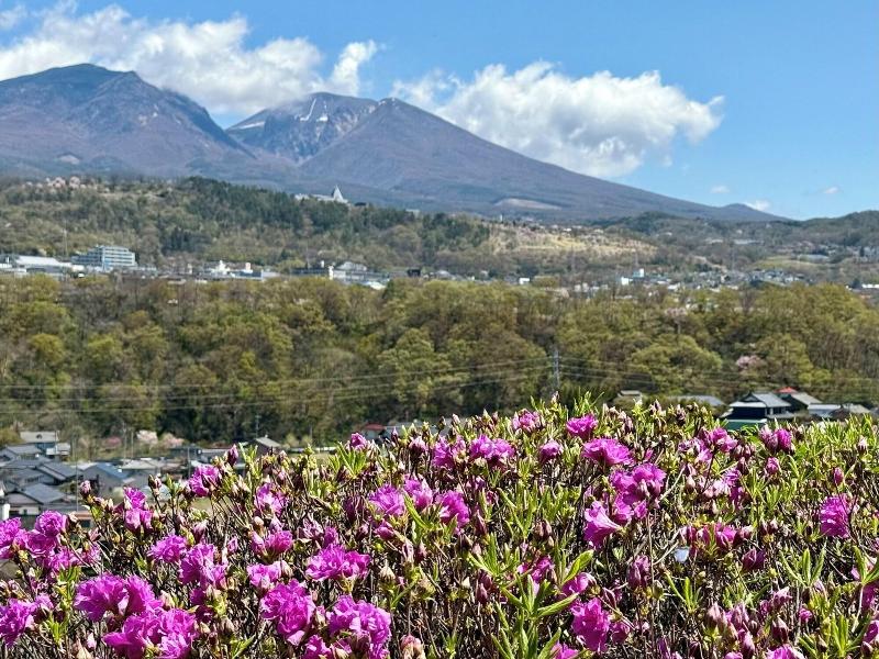 Nunobikionsen Komoro image