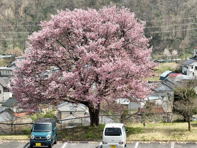 Nunobikionsen Komoro image