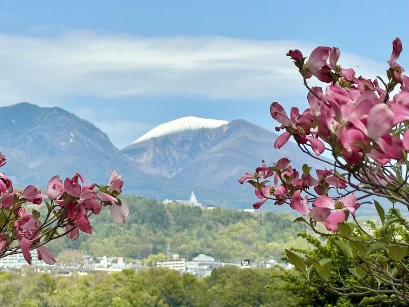 Nunobikionsen Komoro image