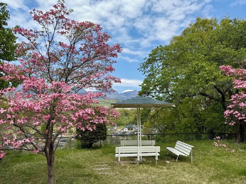 Nunobikionsen Komoro image