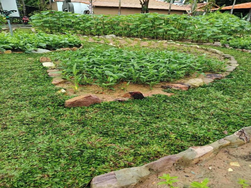 Herbal Resort image