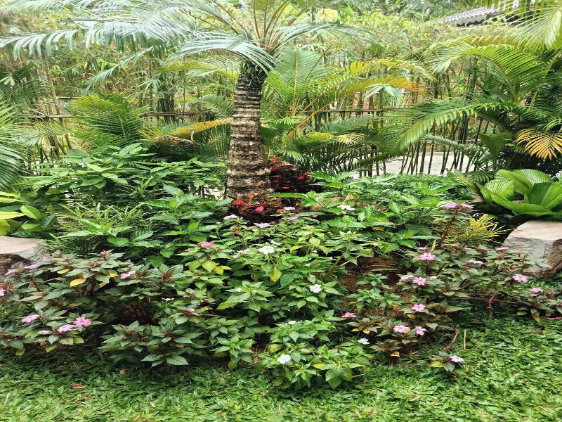 Herbal Resort image