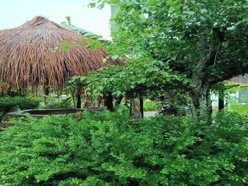 Herbal Resort image