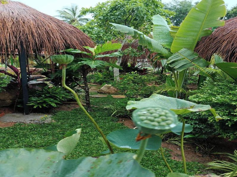 Herbal Resort image