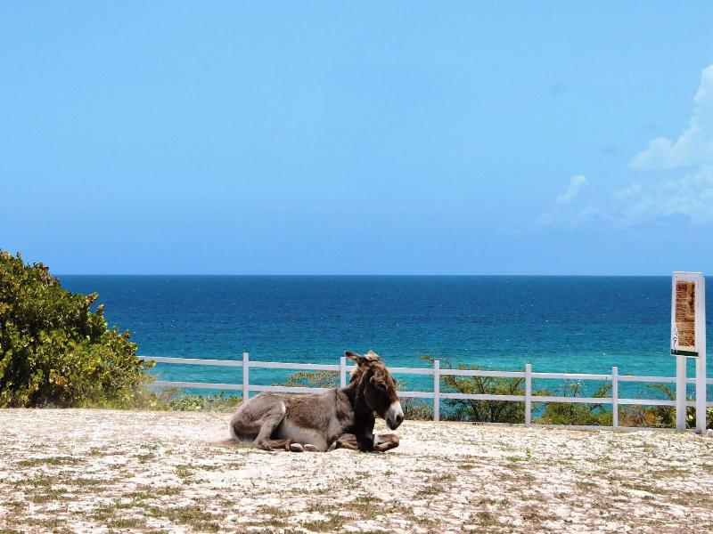 Grand Turk Inn