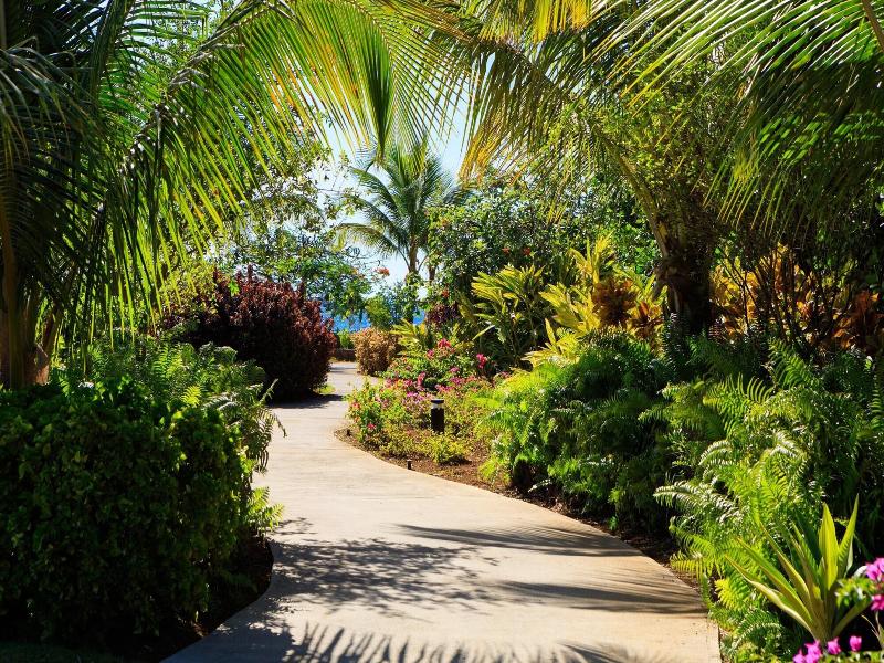 Intercontinental Dominica Cabrits Resort & Spa B image
