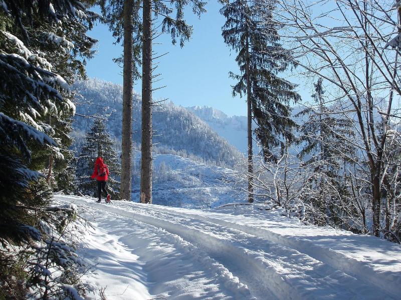 Dormio Resort Obertraun image