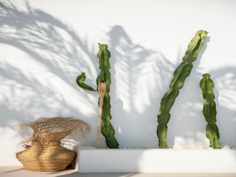 The Olive Boutique Suites And Spa image