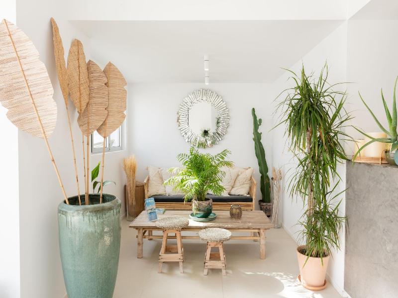 The Olive Boutique Suites And Spa image
