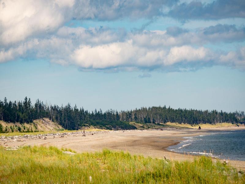 Haida House At Tllaal image