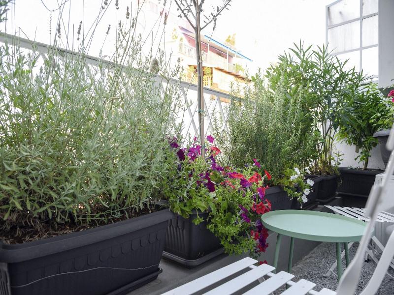 Athenian Sensations Apartments & Suites image