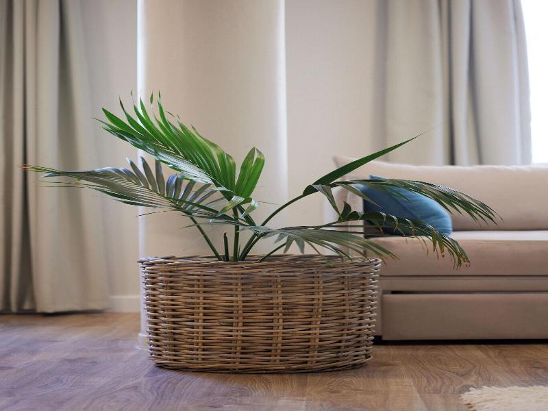 Athenian Sensations Apartments & Suites image