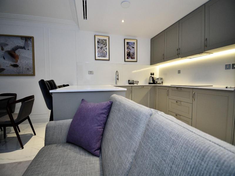 Sanctum London Regents Park image