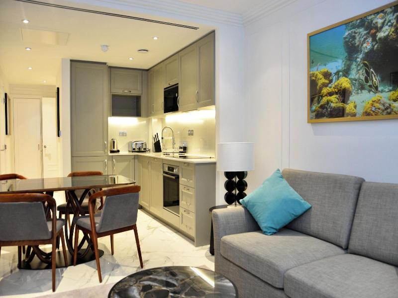 Sanctum London Regents Park image