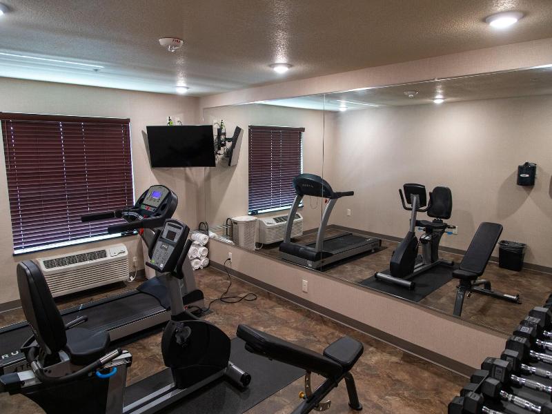 Cobblestone Inn & Suites - Springfield