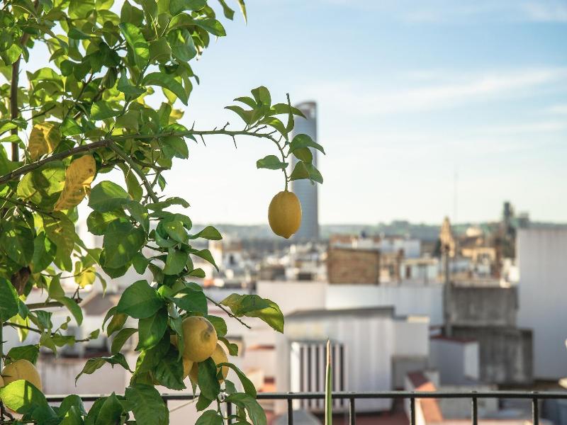 Nqn Aparts & Suites Sevilla image