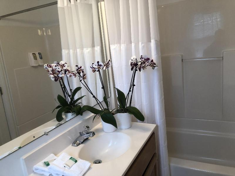 Hyannis Inn image