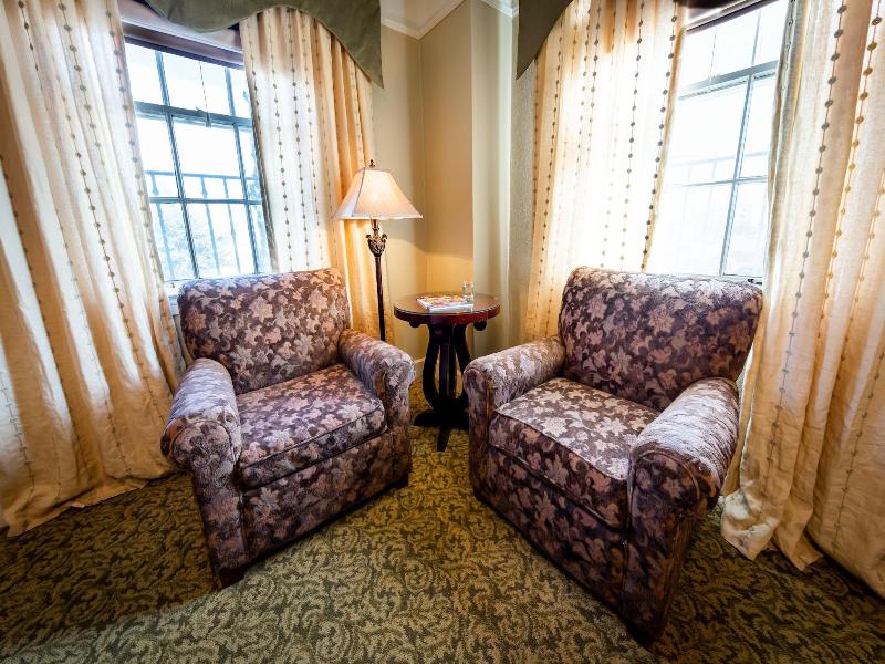 The Hotel Paisano image