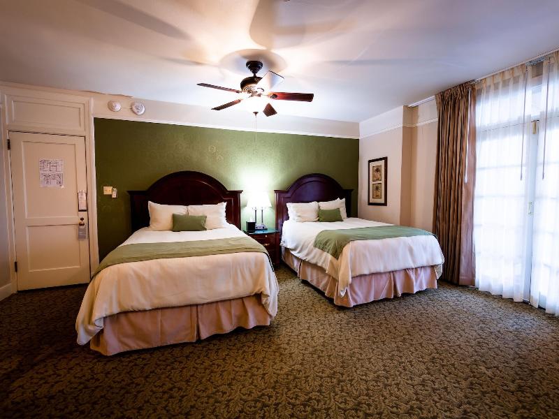 The Hotel Paisano image