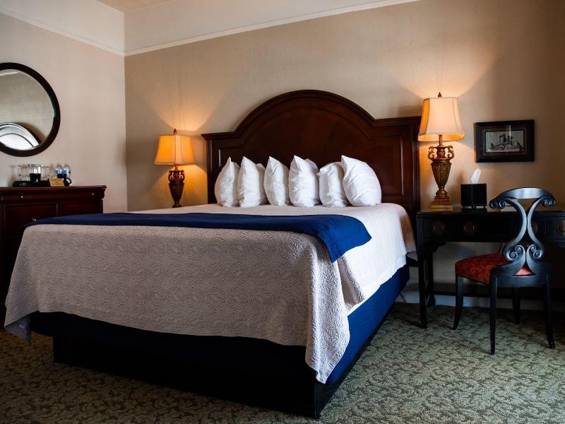 The Hotel Paisano image