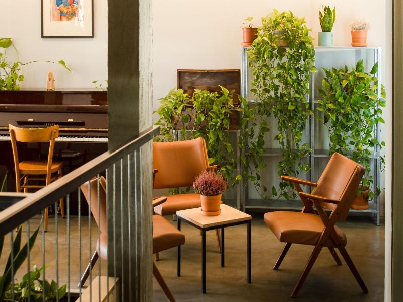're-dama Hostel image