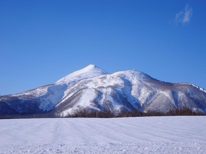 Niseko Inn Of Youtei Raku Suisan