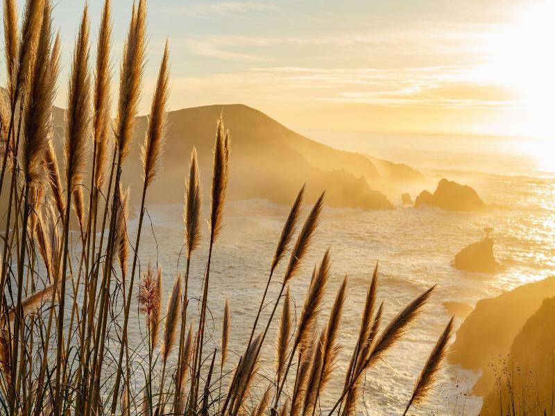 Scp Mendocino Coast Lodge image