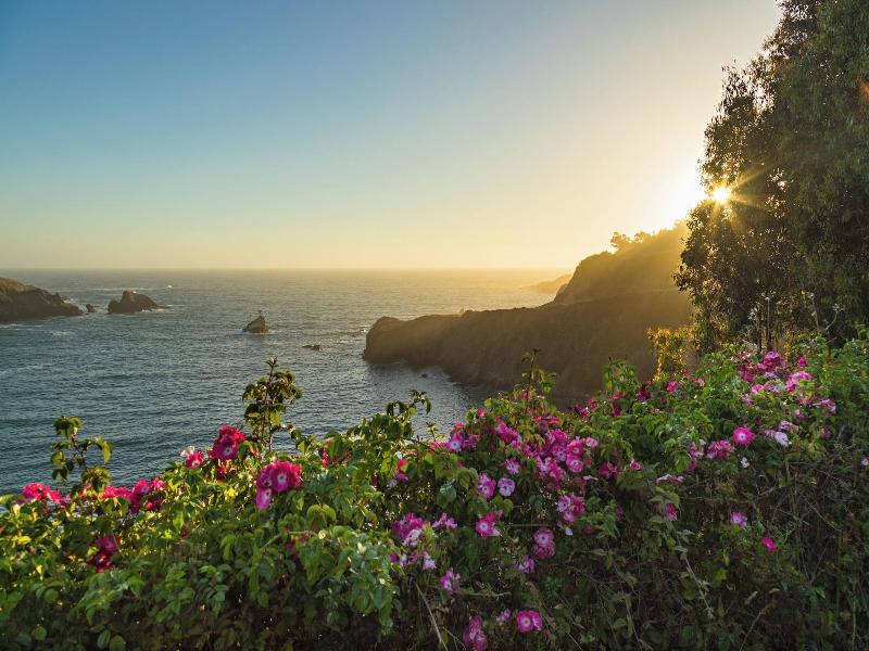 Scp Mendocino Coast Lodge image