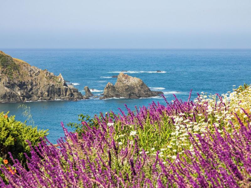 Scp Mendocino Coast Lodge image