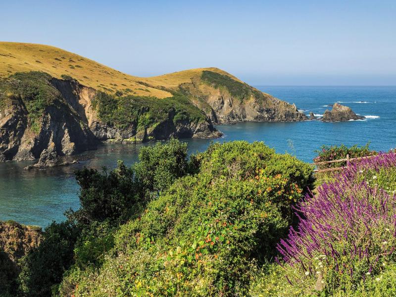 Scp Mendocino Coast Lodge image