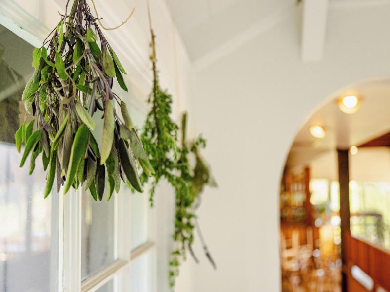 Scp Mendocino Coast Lodge image