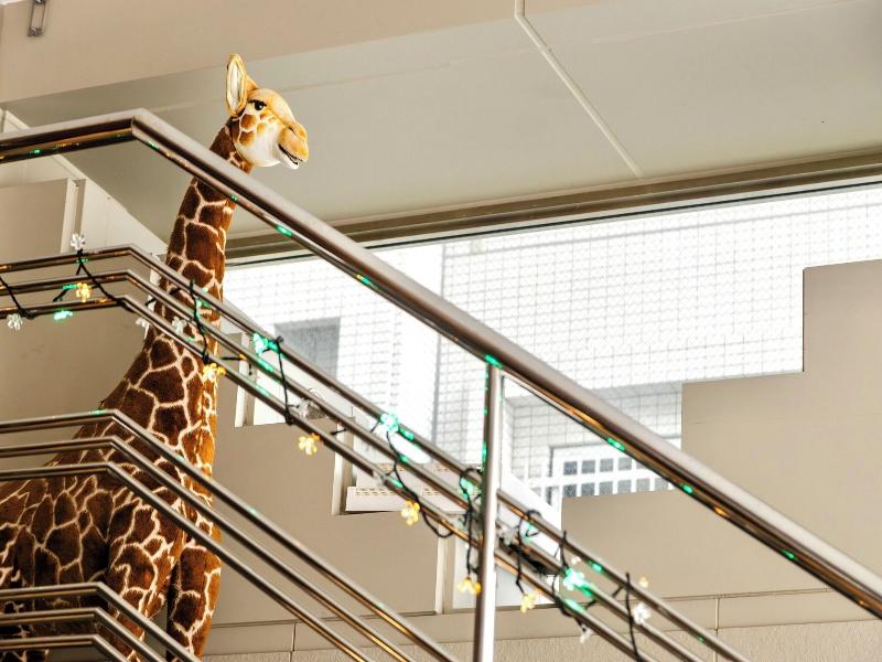 Hotel Stay&go Iriyakita image
