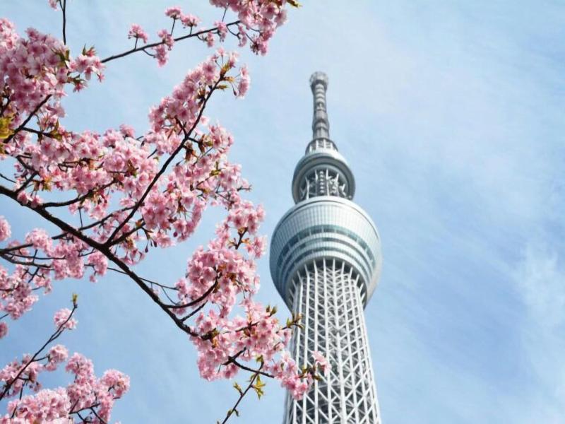 Hotel Stay&go Iriyakita image