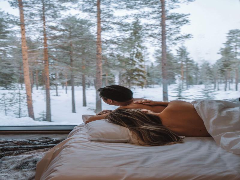 Invisible Forest Lodge image