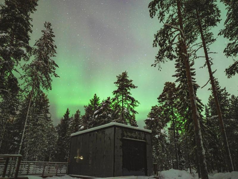 Invisible Forest Lodge image