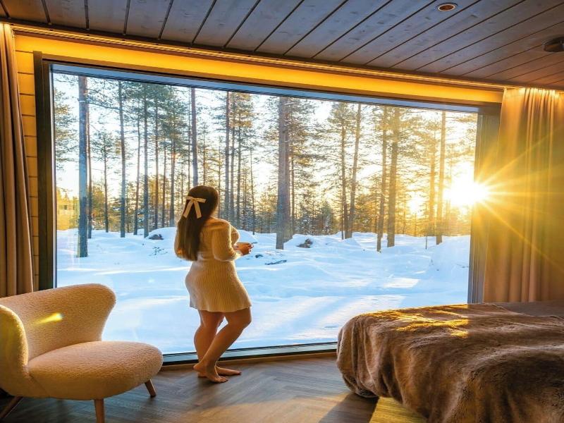 Invisible Forest Lodge image
