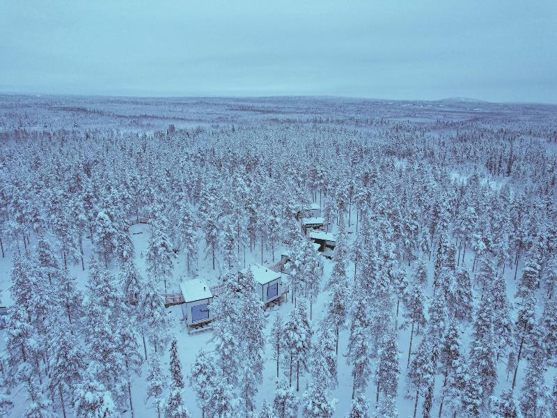Invisible Forest Lodge image