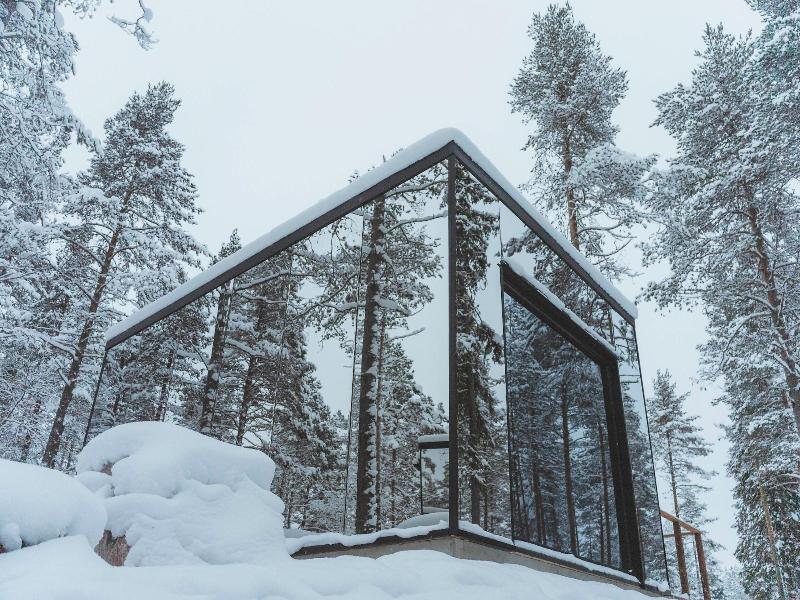 Invisible Forest Lodge image