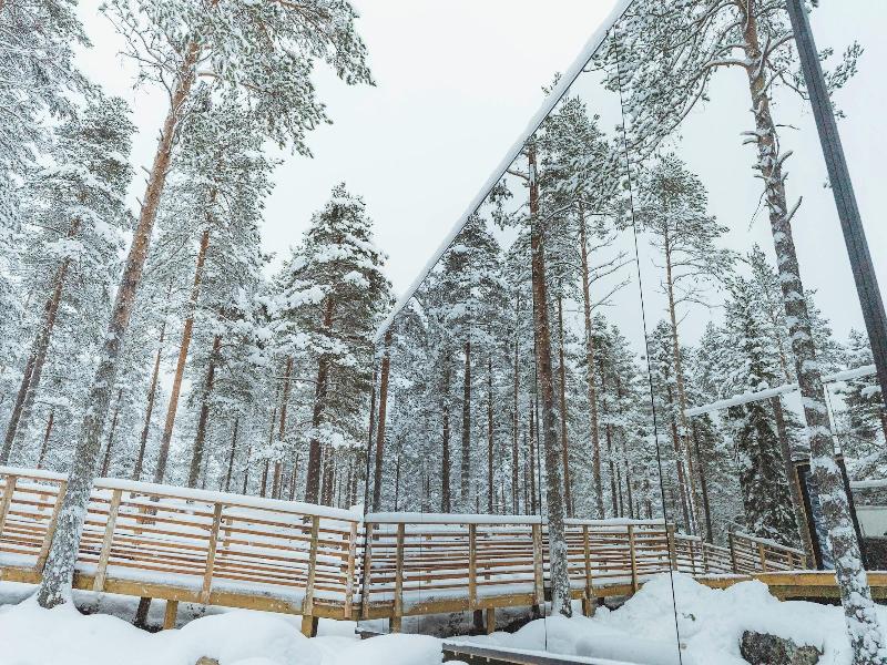 Invisible Forest Lodge image